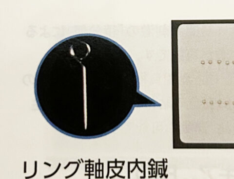 👂耳鍼キャンペーン