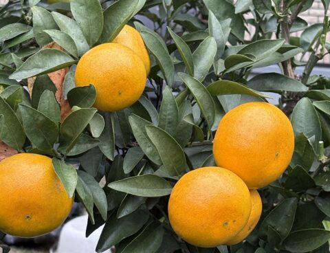 ✨回数券キャンペーン✨