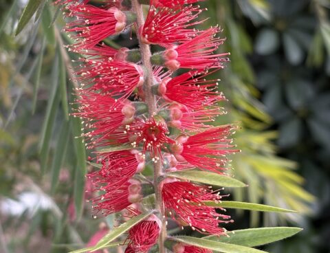 年末、ですが２