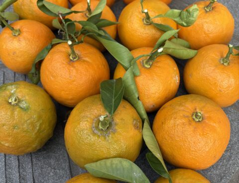 年末、ですが３